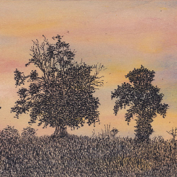 https://www.williamlindley.co.uk/files/dimgs/thumb_1x250_2_85_527.jpeg